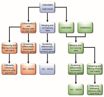 Immune Characteristics in Biliary Atresia Based on Immune Genes and Immune Cell Infiltration